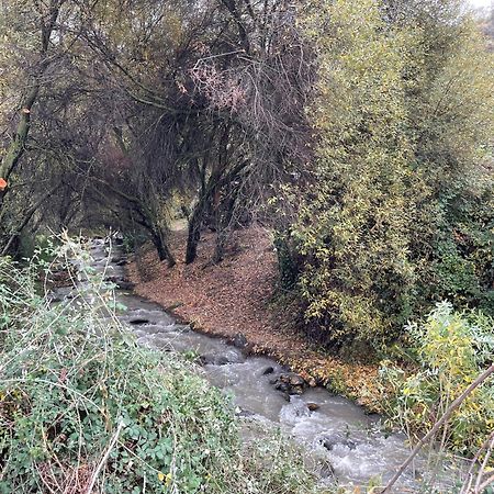 Apartamento Junto Al Rio En Entrada Ruta Cahorros Monachil Eksteriør billede